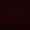 adonis_flores